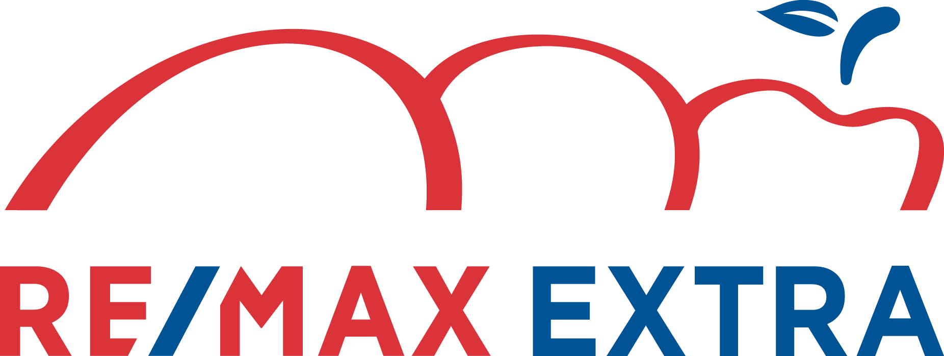 NMC Logo
